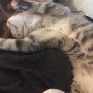 Meet your Posher, Meghan